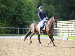 IMG_0168_web